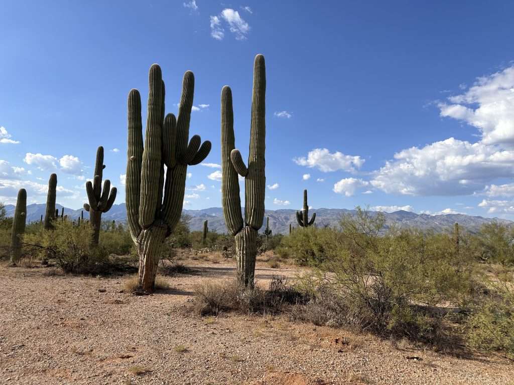 Visiting Arizona: Everything You Need To Know