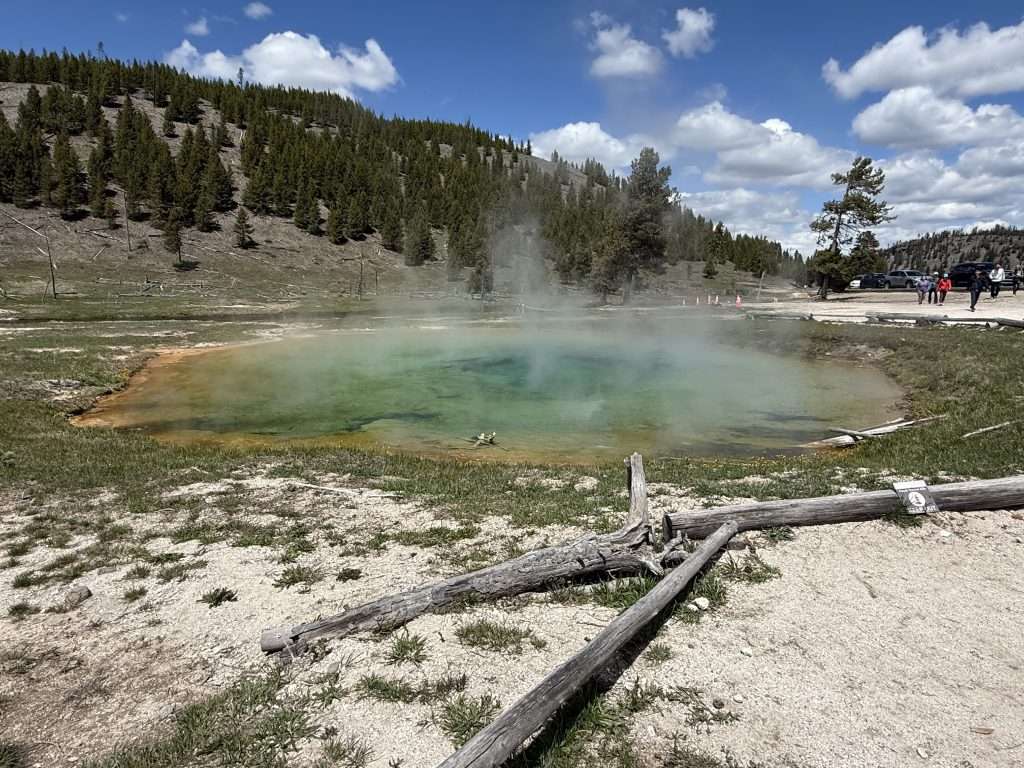 One Day At Yellowstone 1 Day Itinerary Yellowstone Yellowstone National Park In A Day