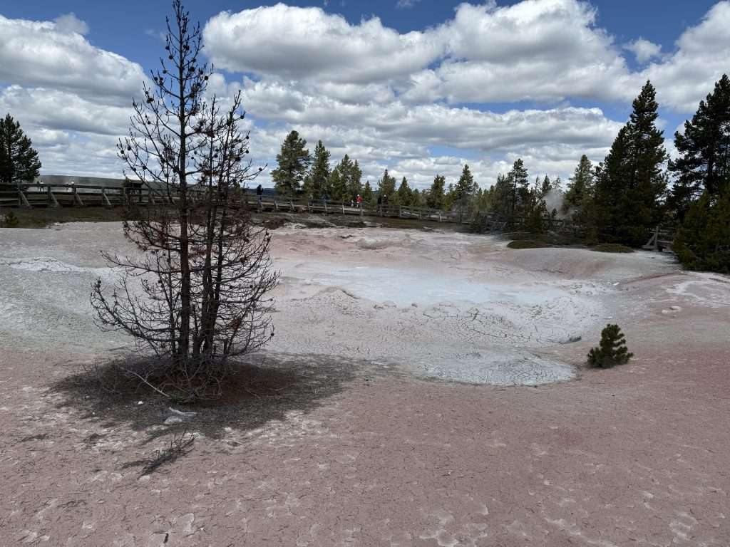 Yellowstone in One Day From West Entrance Yellowstone In One Day From South Entrance