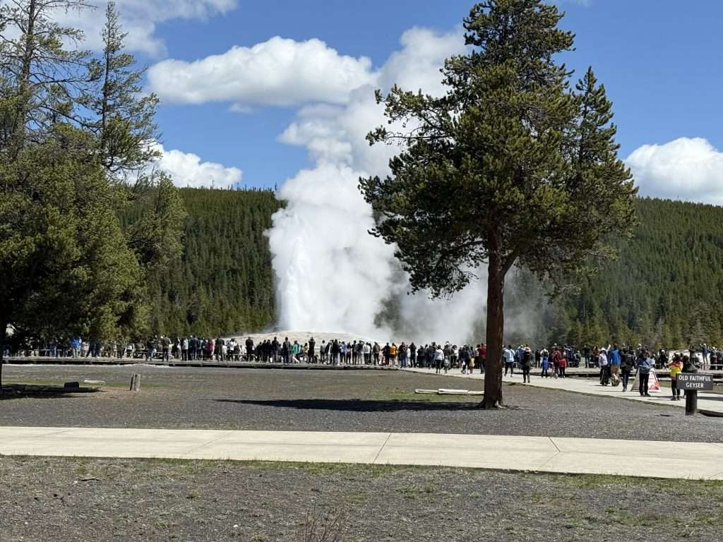 Old Faithful Geyser What To See In Yellowstone In One Day