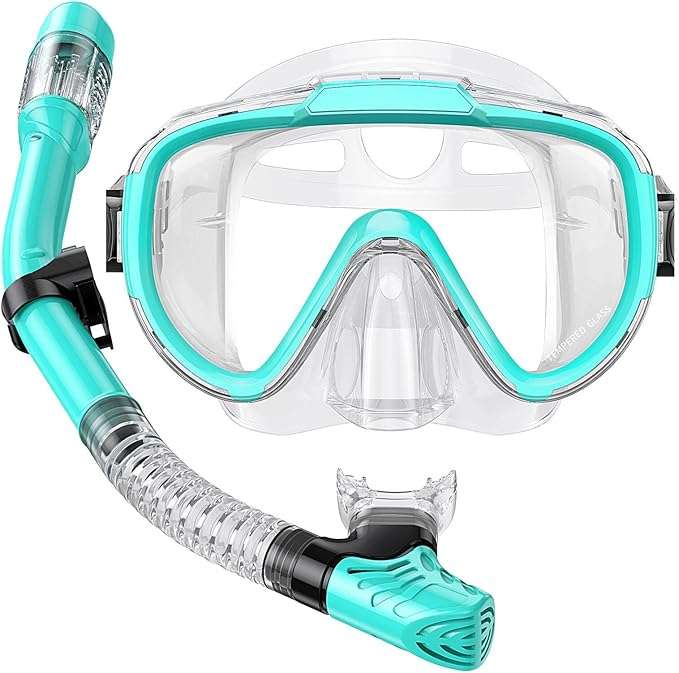 Dry Top Snorkel Kit