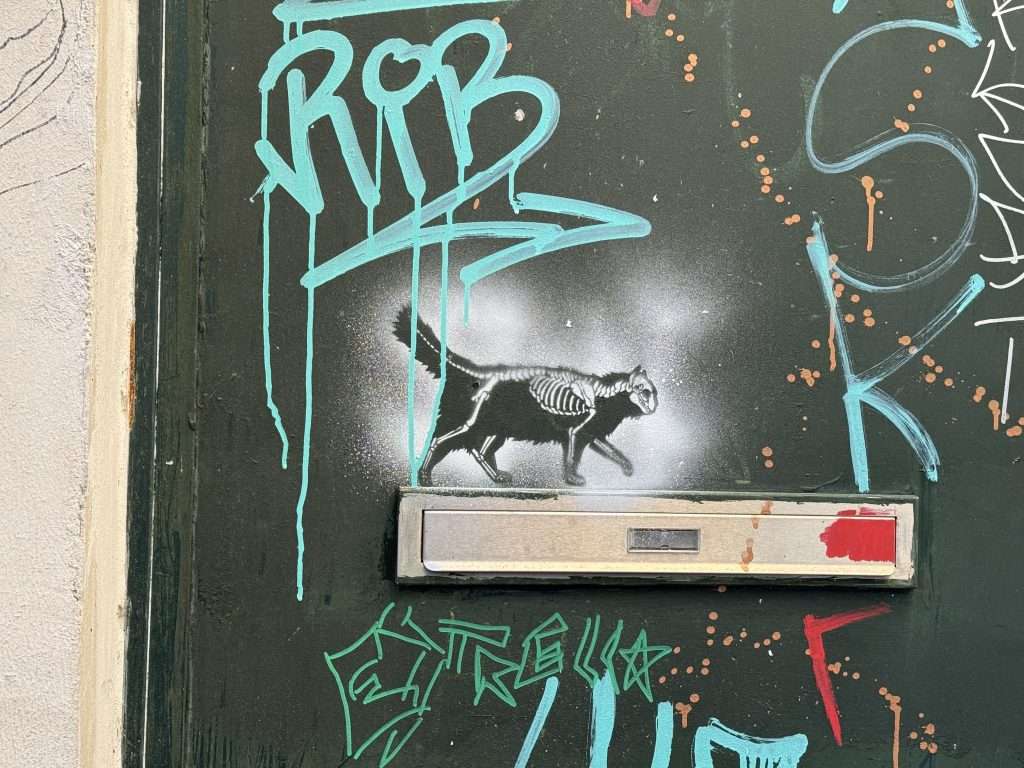 Cat Skeleton Stencil Street Art In Paris