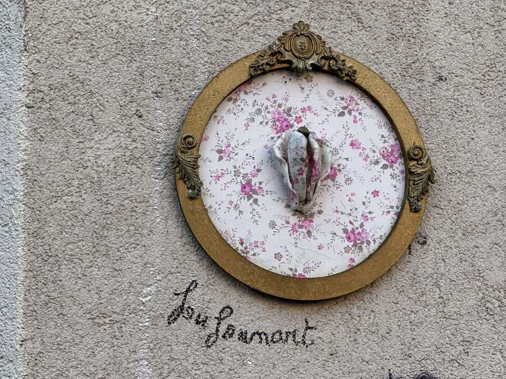 Floral Vagina Street Art In Paris